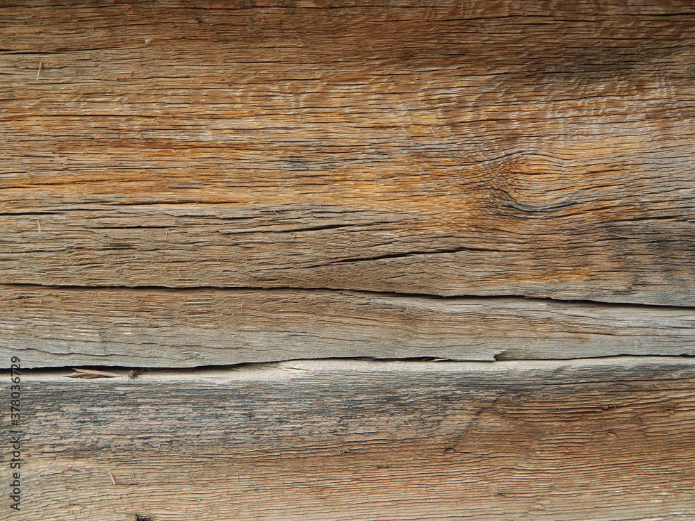 Beautiful old wood texture, background. Photo of old tree trunk with cracks. Beautiful old wood texture, background. Photo of old tree trunk with cracks.