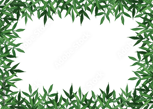 Fototapeta Naklejka Na Ścianę i Meble -  Summer botanical watercolor banner design. Delicate green leaves. Natural card or frame. Floristic borders. Place for your text.