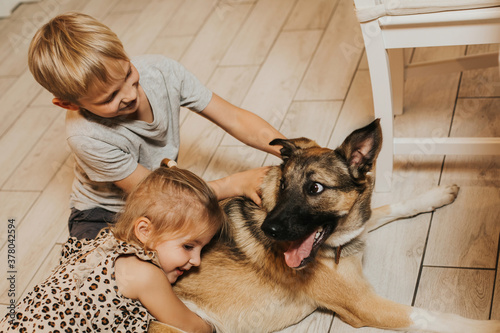 A seven year old boy and a three year old girl play with their dog in the home kitchen. Warm light. Children and pet
