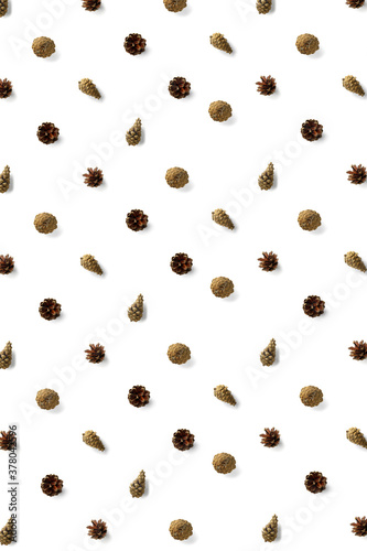 Pine cone Christmas background on white. Pine branches and cones. minimal creative cone arrangement pattern. flat lay, Modern christmas Background.