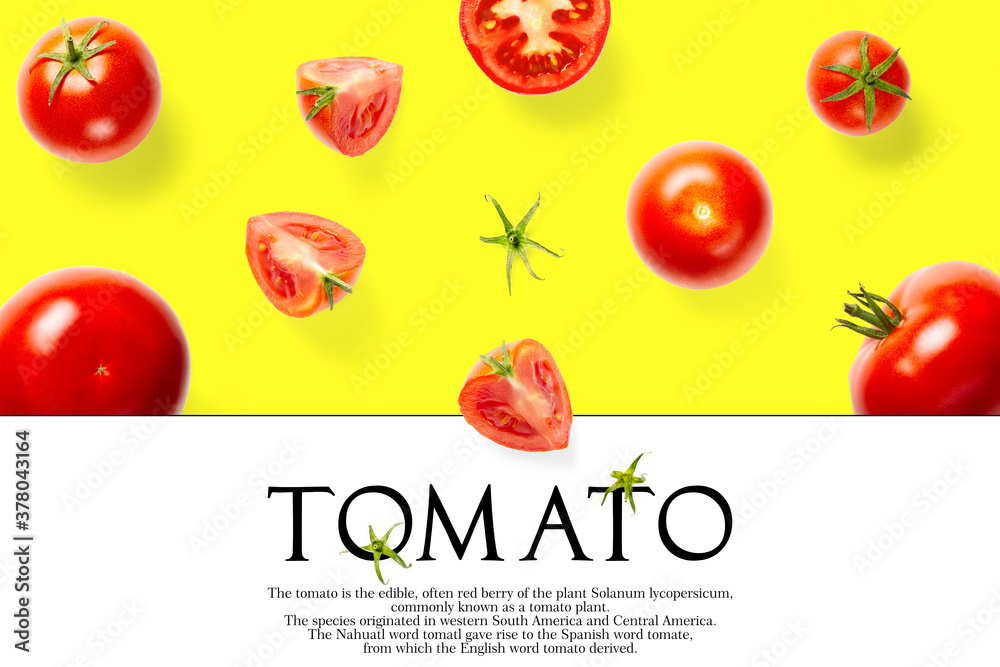Creative layout made of tomato on the yellow background. Creative flat lay set of tomatoes with simple text on white background, copy space. Creative layout made of tomato on the yellow background. Creative flat lay set of tomatoes with simple text on white background, copy space.