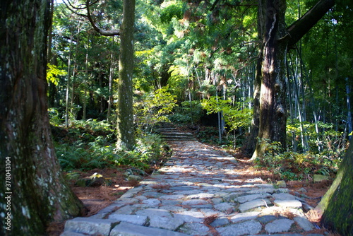熊野古道・大門坂