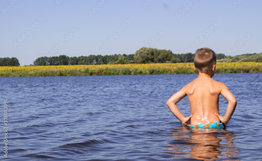 Fototapeta premium the boy stands in the river and looks at the yellow field