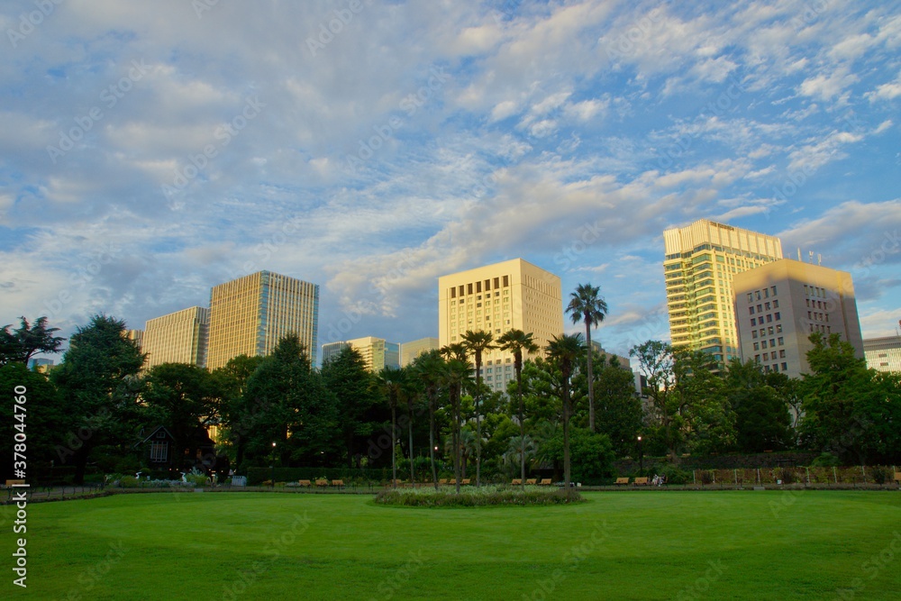 Obraz premium 日比谷公園夕景 第一花壇と美しい空