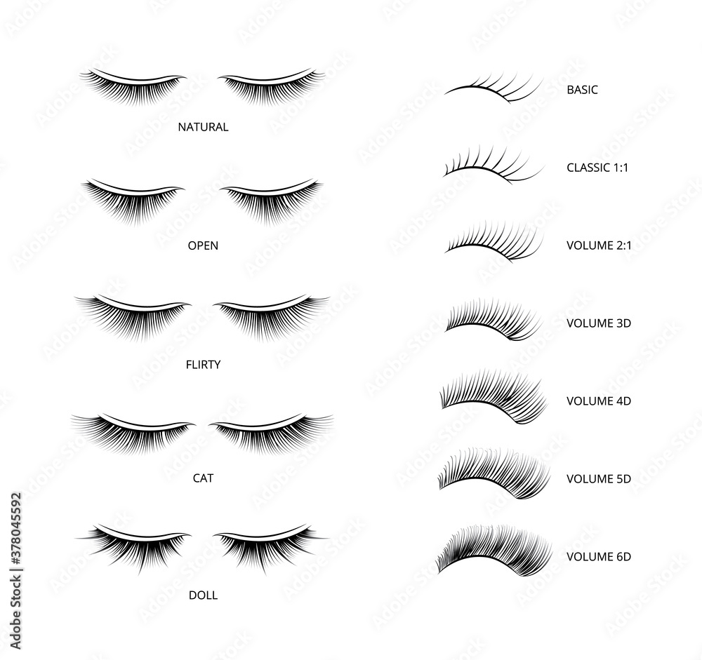 Banner with kinds of false lashes for extension vector illustration isolated. Banner with kinds of false lashes for extension vector illustration isolated.