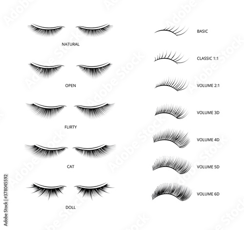 Banner with kinds of false lashes for extension vector illustration isolated. photo