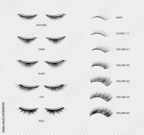 False eyelashes types and kinds poster of vector illustrations isolated. photo