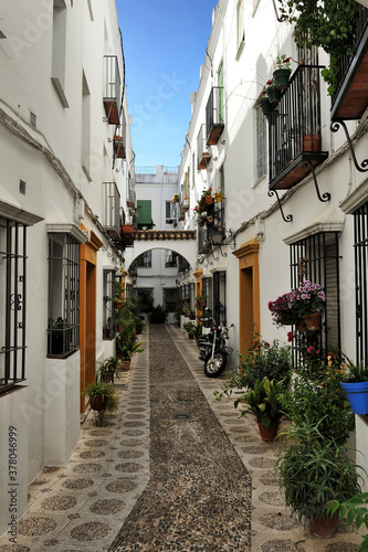 street decorated with flowers  Cordoba  Spain