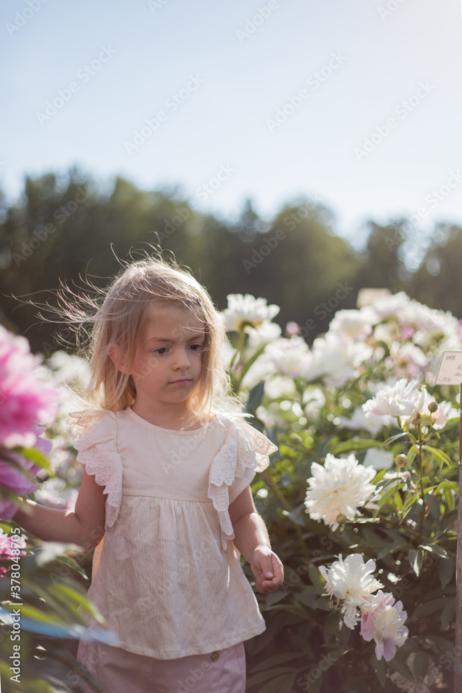 Fototapeta premium portrait of a little girl in flower field.