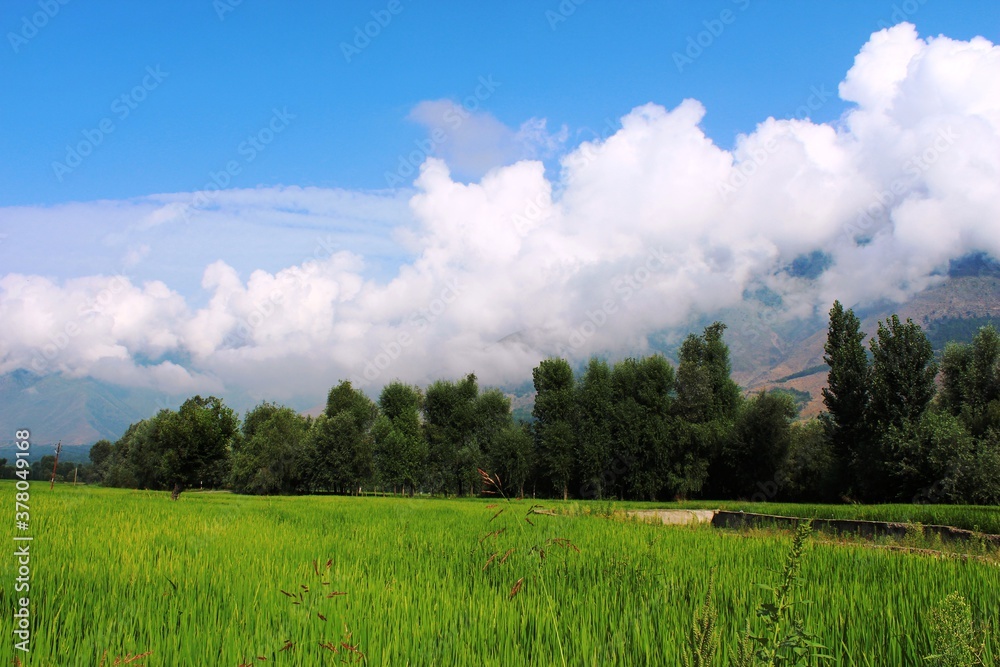 Beautiful mountains of Kashmir, India. Beautiful mountains of Kashmir, India.