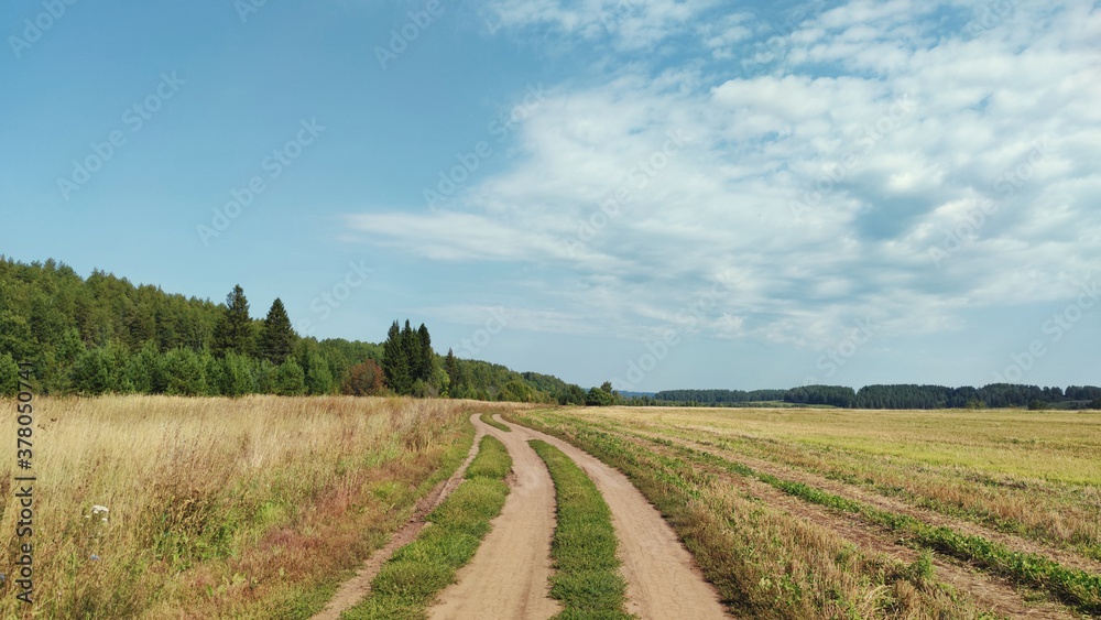 panoramic scene with a road in a field on the background of a forest and blue sky on a sunny day