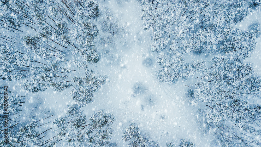 Aerial view of evergreen Christmass forest from above. drone shot. natural winter background Aerial view of evergreen Christmass forest from above. drone shot. natural winter background