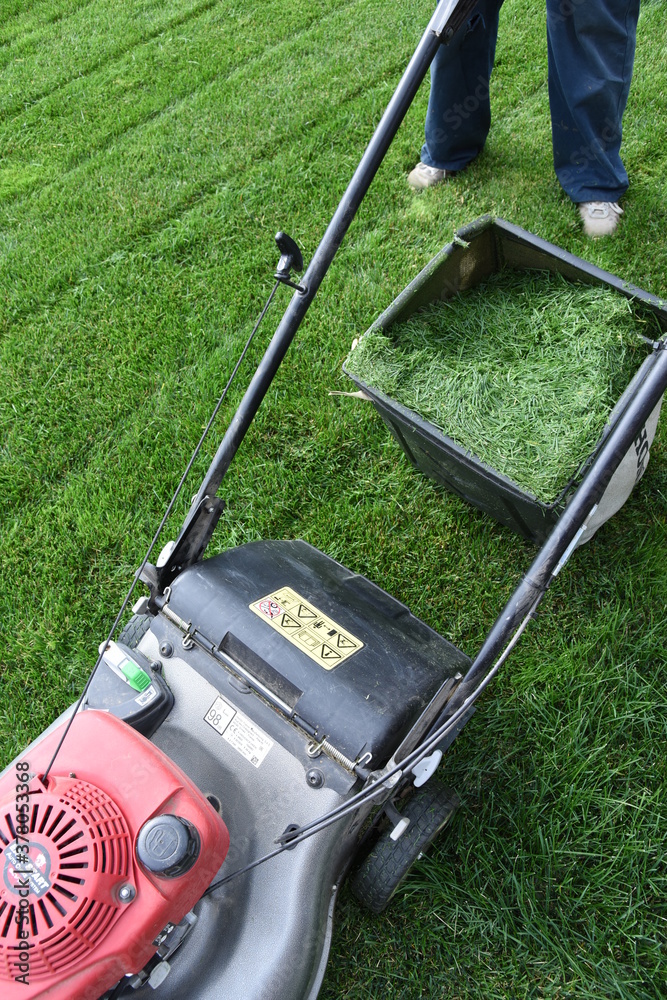 Emerald green lawn mowing landscape maintenance or garden service like