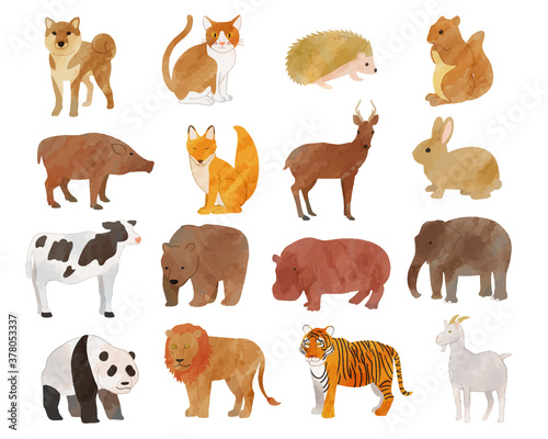 Animal illustration material set / vector