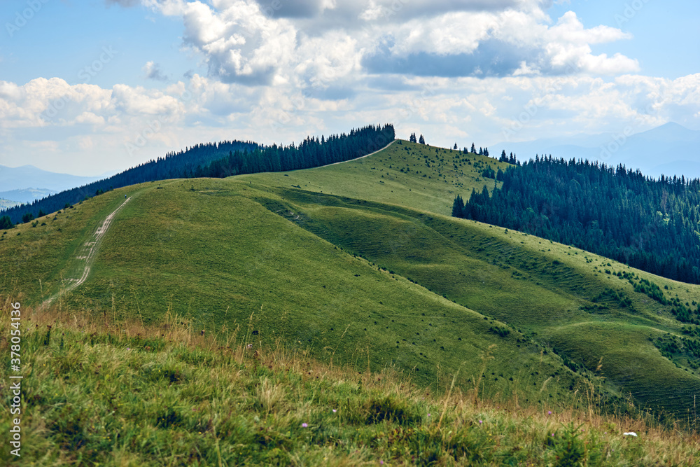 Obraz premium Mountains hills landscape during a sunny day with blue sky clouds. Dark autumn trees. Forest in summer. Hiking in wild mountains. Adventure Travel Concept.