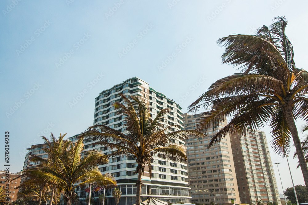Fototapeta premium Looking Up at Durban's Beachfront Hotels as taken from Golden Mile