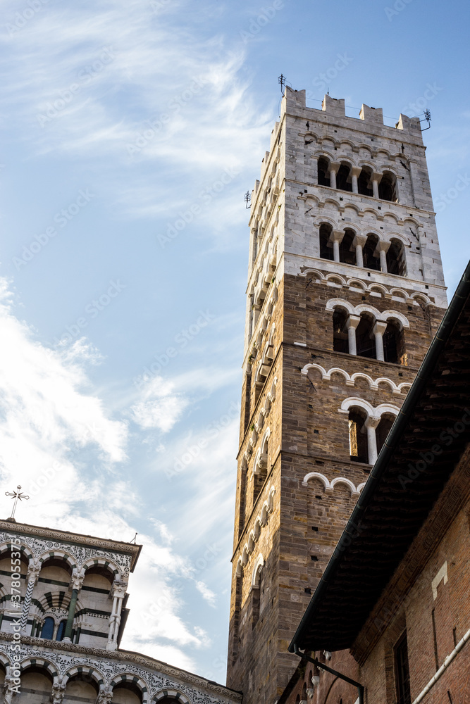 View of San Martino Cathedral Tower, Lucca, Italy View of San Martino Cathedral Tower, Lucca, Italy