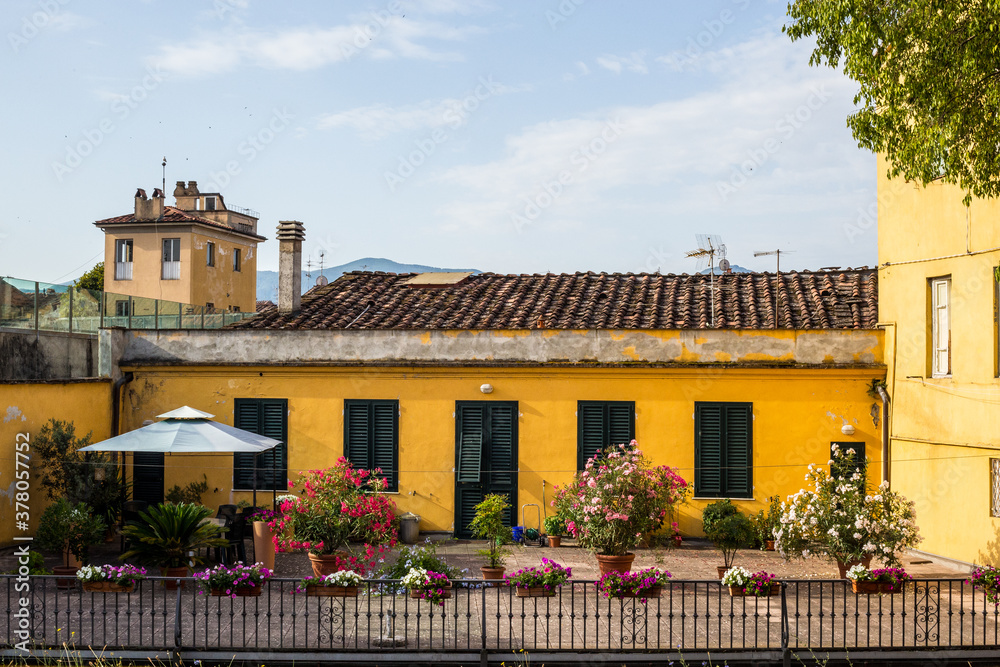 Terrace with Flowers of a Colorful Old Building, Lucca, Italy