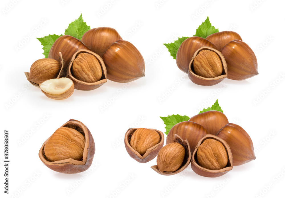 Hazelnuts isolated on white background Hazelnuts isolated on white background