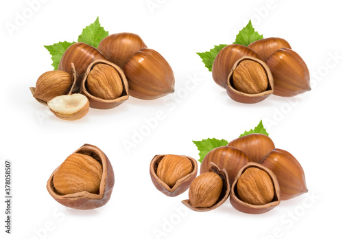 Hazelnuts isolated on white background photo