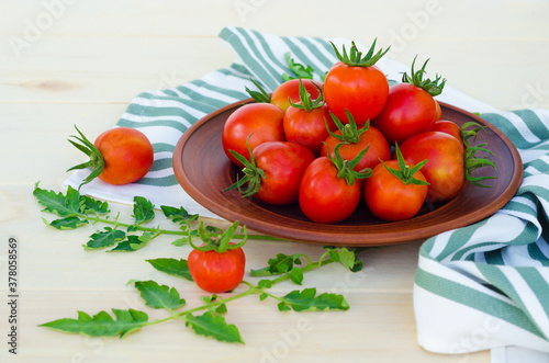 new harvest. fresh cherry tomatoes on plate on wooden background. harvesting, autumn, thanksgiving.
