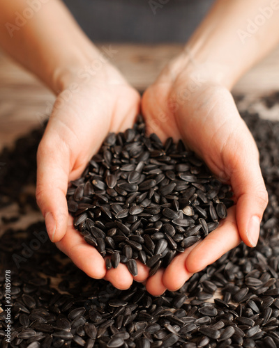 Caucasian woman holds fresh sunflower seeds in her palms. Natural raw materials for making butter. A bunch of seeds on a wooden table. Rustic style, homemade production, craft concept