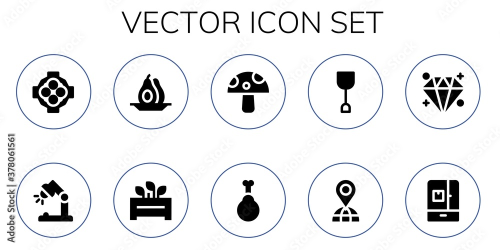 vector icon set vector icon set
