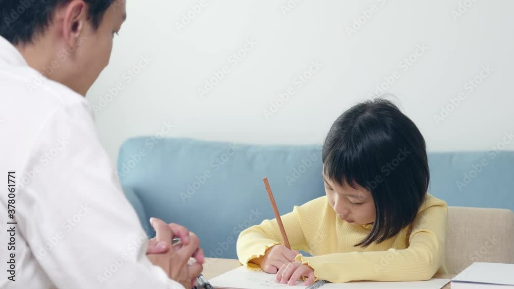 勉強する女の子 個別指導 家庭教師 勉強する女の子 個別指導 家庭教師