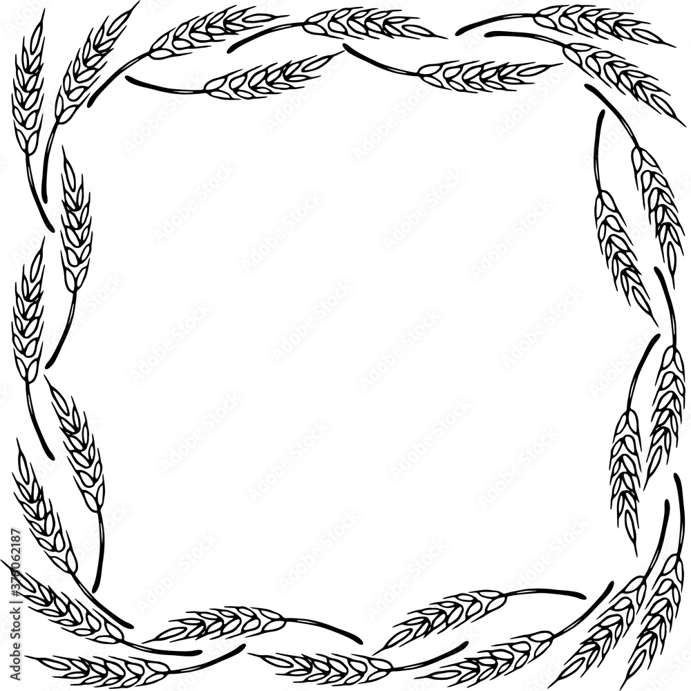 Frame made of wheat or rye ears. Vector autumn border hand drawn in ...