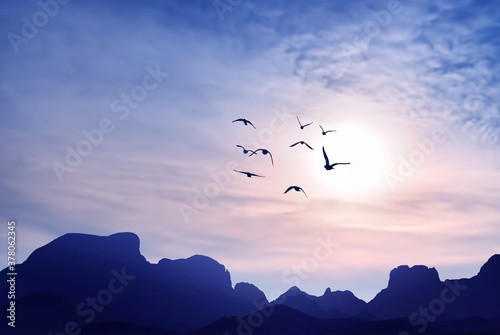 Birds fly into sunset in the blue mountains