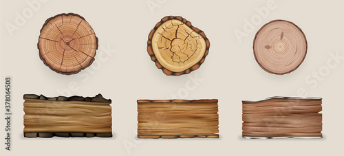 Realistic wood set collection. Illustration of realism style drawn wooden cutting stumps and textured planks on white background. Mockup of cracked demolished natural oak birch tree piece of timber.