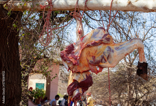 cow slaughter