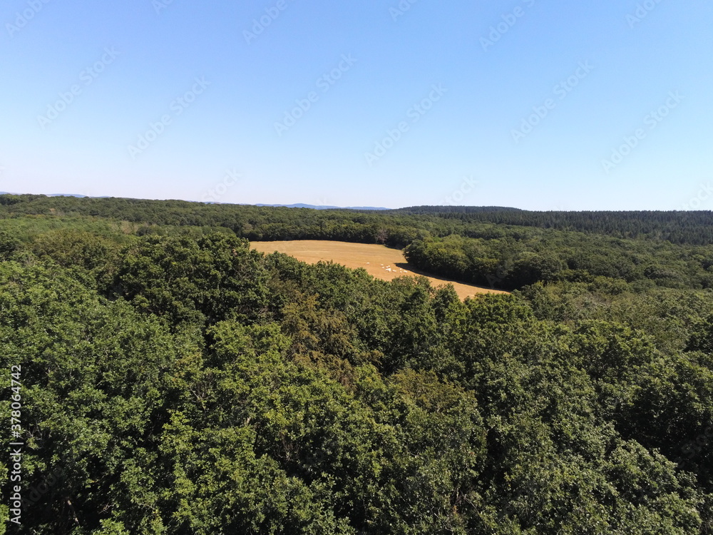 Forêt en Bourgogne, vue aérienne