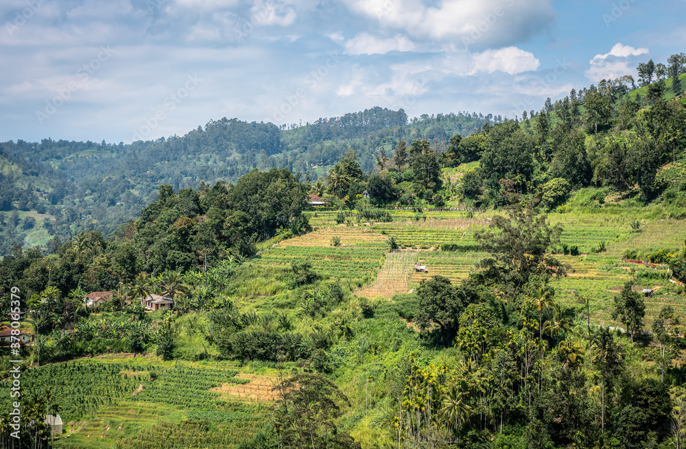 View of the mountain valley and houses among the forest and tea plantations on the island of Sri Lanka