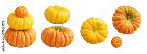 Natural pumpkin isolated on white background. Autumn set for design without shadows.