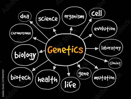 Genetics mind map, medical concept for presentations and reports