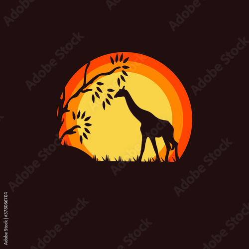 Silhouette of a giraffe