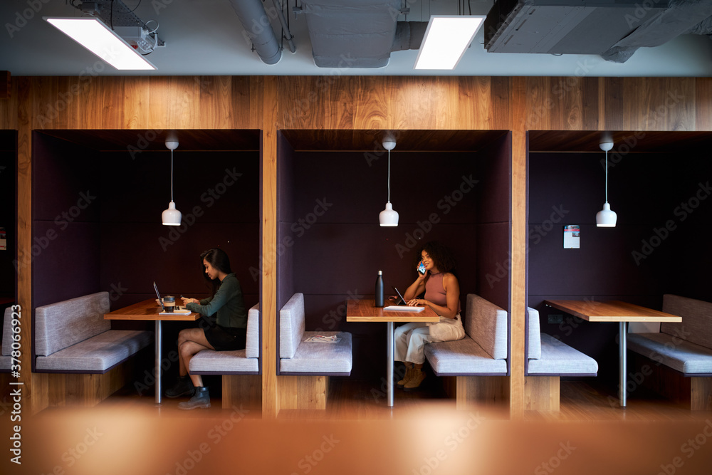 Businesswomen Working In Socially Distanced Cubicles In Modern Office During Health Pandemic - obrazy, fototapety, plakaty 