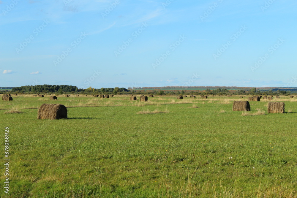 Fototapeta premium Field in Bashkiria with hay billets