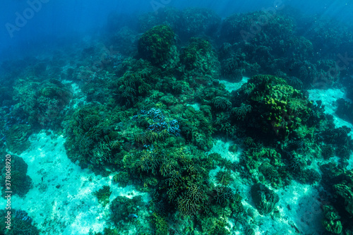 Coral reefs of RAYA Island Phuket Province, Thailand © satit