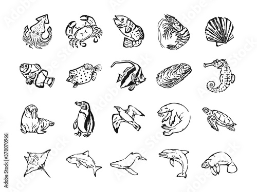 vector illustration set of animals. Such as squid, crab, fish, shrimp, seal, seahorse, walrus, shark, dolphin, stingray and manatee.
