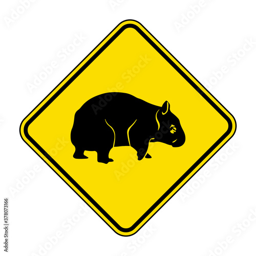 Wombat road sign. Vector illustration of yellow diamond shaped traffic sign with wombat icon inside. Wombats crossing warning symbol isolated on white background. Australian marsupial sign.