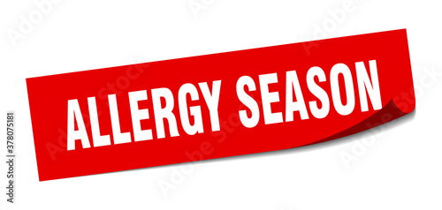 allergy season sticker. square isolated label sign. peeler