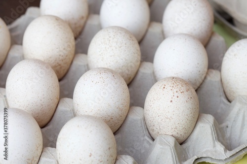 Wallpaper Mural Macro image of turkey eggs in crate Torontodigital.ca