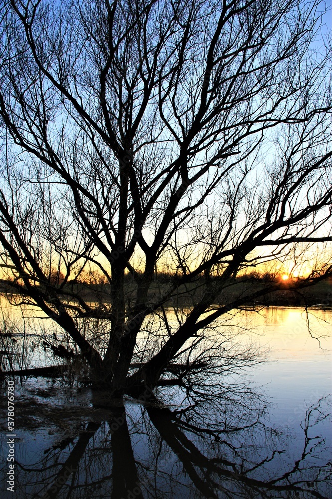 Sonnenuntergang im Hintergrund eines Baumes im Wasser Sonnenuntergang im Hintergrund eines Baumes im Wasser