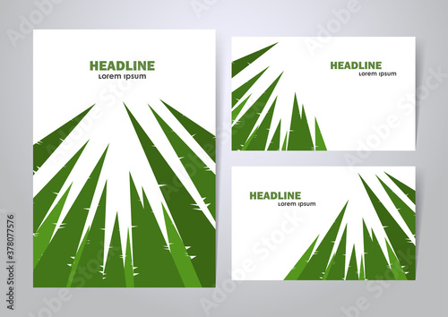 Three variants of layout design with background of graphic pine forest.