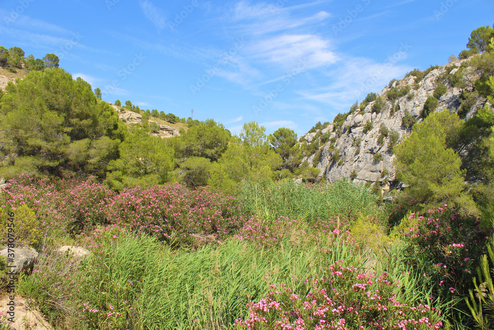 Fuente Caputa, Mula, Murcia