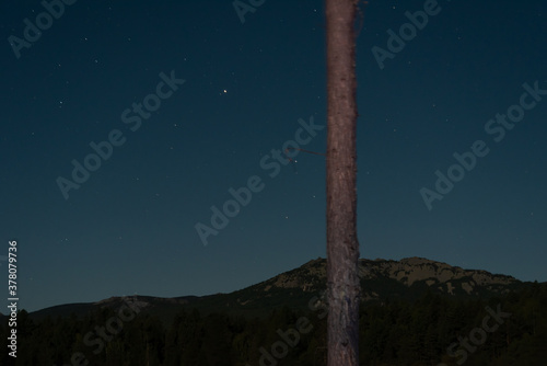 night over the forest photo