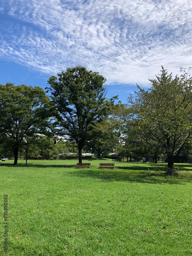 Obraz premium 気持ちの良い公園