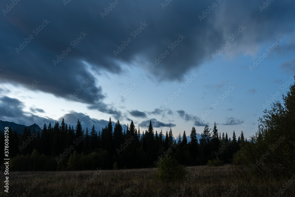 clouds over the forest in mountains clouds over the forest in mountains